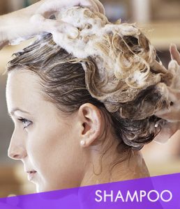 รูปแบบเครื่องสำอางแชมพู